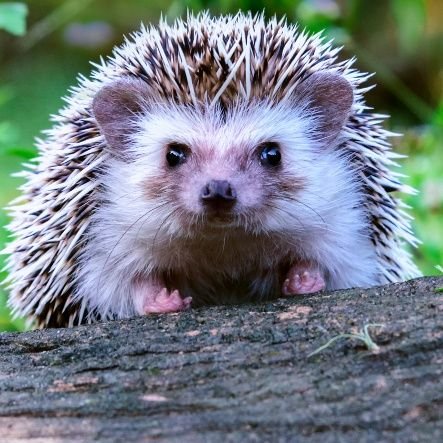 ArtystaChaosuVT's profile picture. I am the force that desire order create chaos.
I am the force that desire chaos create order.