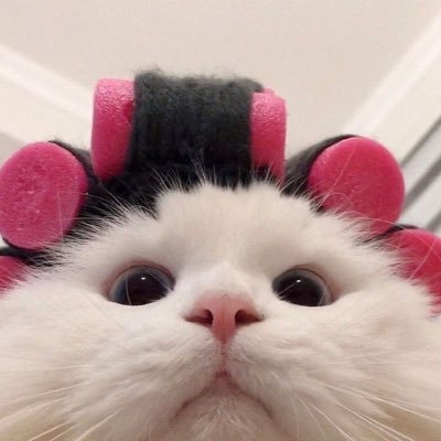 paphatchyxn's profile picture.