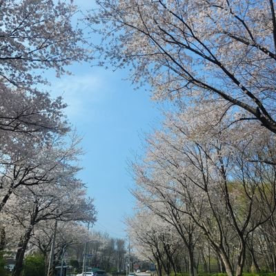 JangGinam80741's profile picture. 