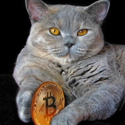 Sa101010101038's profile picture. Bitcoin miner