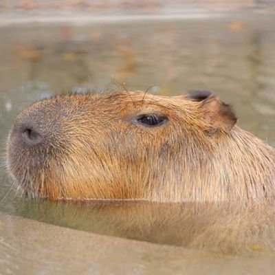 kyo6z349's profile picture. 