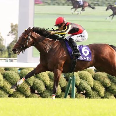 tibi_Kun777's profile picture. 色んなゲーム 競馬🏇仮面ライダーなどの主に投稿をする意味不明な垢w