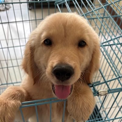 nanathemage's profile picture. bukan second account