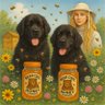 honey_company's profile picture. family business 🐝 passionate about bees🍯selling honey and ethical products 🦋