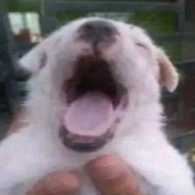 Zeroo63's profile picture. 41번 투수가 좋다고 말해