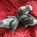 African Grey Parrots For Adoption Near Me (@rosek97006) Twitter profile photo African Grey Parrots For Adoption Near Me (@rosek97006) Twitter profile photo