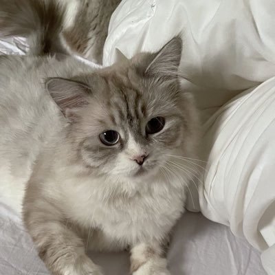 g65affangamin's profile picture. In case you missed me -iwnlh- 26