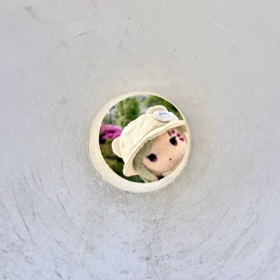 🌜tome🌛さんのプロフィール画像