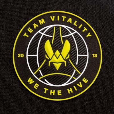 Team Vitality π Profile