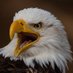 Meme Funny (@tonycross2no) Twitter profile photo Meme Funny (@tonycross2no) Twitter profile photo
