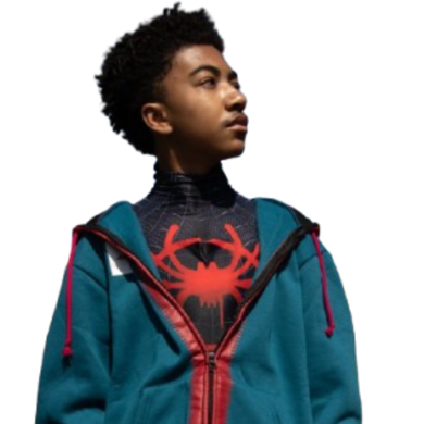 Was bitten by a radioactive spider. And for like, two days? I've been the one, and only. . 𝑺pider-𝑴͟a͟n. I think you know the rest. Saved a bunch of people. .