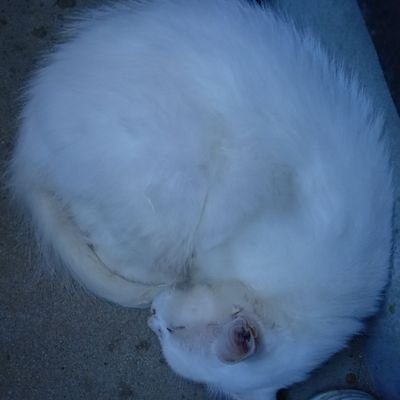 Alain38776766's profile picture. 