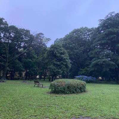 KfR2bjJQWv54995's profile picture. 大学生