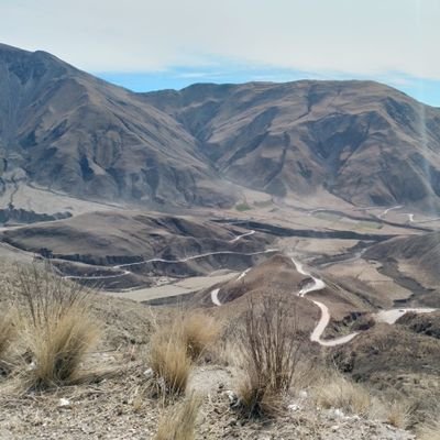 PedroBlanco1511's profile picture. 