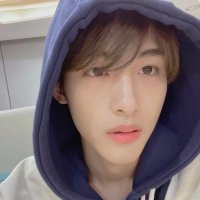 ππ’π ΓΌ | viu o skz (@sichengvhs) 's Twitter Profile