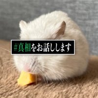 ゆきみだいぷく⚪️🪽 (@fuma0307more) 's Twitter Profile Photo ゆきみだいぷく⚪️🪽 (@fuma0307more) 's Twitter Profile Photo