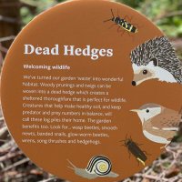 Abi (@abithornton1) 's Twitter Profile