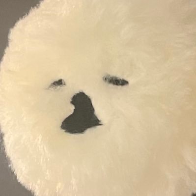 ぱんりさんのプロフィール画像