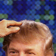 HOTUS (Hair of the United States). The only real Twitter account of Trump’s hair. All others are #FakeHair. I'm on top of the man who is on top of the world.