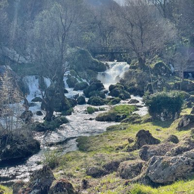 aygunaslan's profile picture. insan..mensch.. human..homo sapiens..