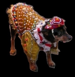 kpouer's profile picture. 