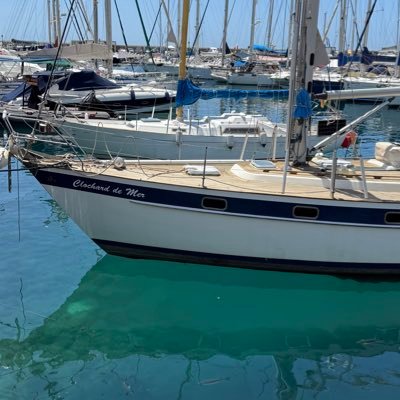 SiouxGold's profile picture. Professional dreamer and chaos witness