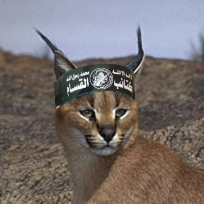 kick_109's profile picture. 109 and counting