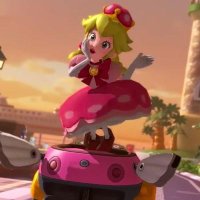 Sanzer (a Peachette and Toadette main) (@sanzer_man) 's Twitter Profile