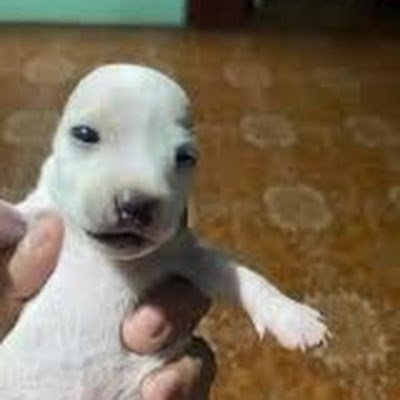 DDarko74's profile picture. 