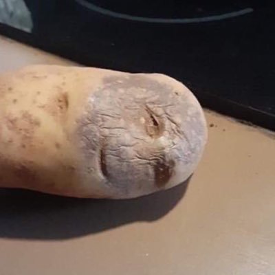 noeyfluffffff's profile picture. 