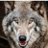 JoshBronsveld's profile image