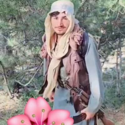 (( واصبر لحكم ربك فإنك بأعيننا )) زه هغه څه یمه چې زه پوهېږم دلته هر خپریدونکی حرف می خپل لیکوال یی زه مسؤلیت یی زما او زما شخصي نظر ده
🏳️🇵🇸