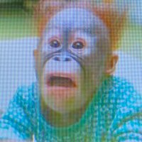 AARON (@aaron12901824) 's Twitter Profile