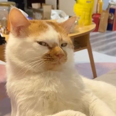 crenatedtonguee's profile picture. misii