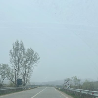 ScheipEyal's profile picture. 