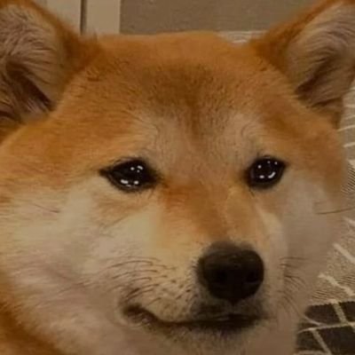 Eliz29888222's profile picture. @Meteo_Kingdom