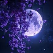 Tine262461Tine's profile picture. 