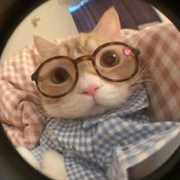 มะแง๊วววววว :D (@spy_q0x) 's Twitter Profile
