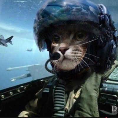 heydvdd's profile picture. Always questioning