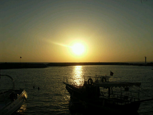 geoffx85's profile picture. 