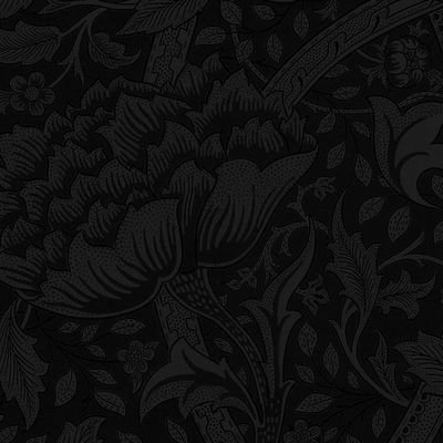 z3n_dev's profile picture. Roblox Developer
Scripter
Ui Designer