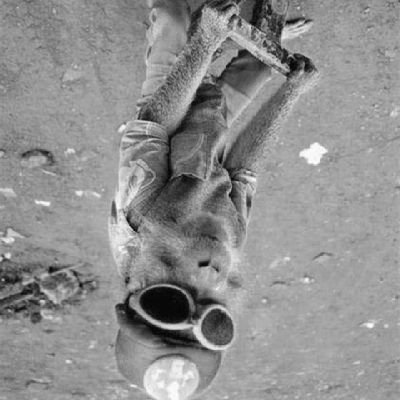 wereyonthenet's profile picture.