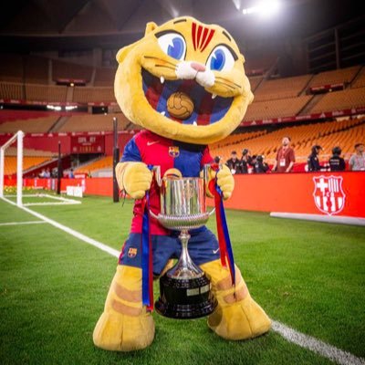 rinxolsdexoco's profile picture. barça, MotoGP i una mica de tot