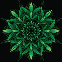 Bob (@hillchris66268) 's Twitter Profile