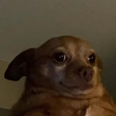 KhtonThedogits's profile picture. https://t.co/sHtnkVDvtr 
the world is slowly burning.
Генделик2