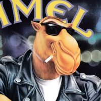 Jeau Camel (@jeaucamel) 's Twitter Profile