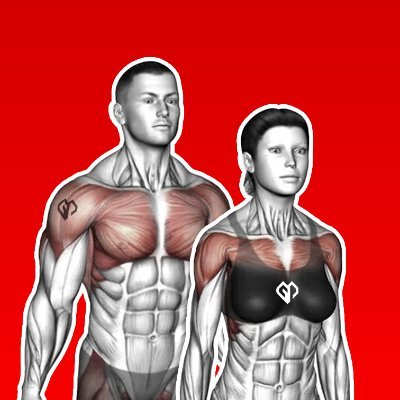 gymplode's profile picture. Follows us for quick workouts to transform your body and improve overall health! #workout #exercise #bodygoals #gymlife #workoutvids