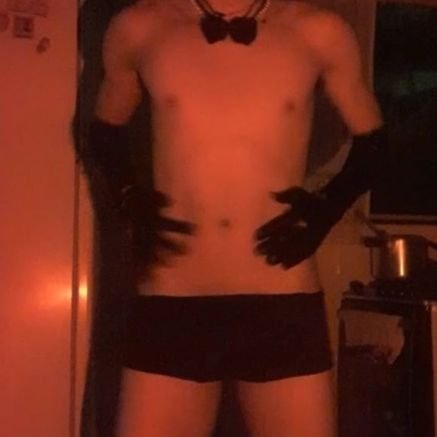 lucasnovinhodot's profile picture. vers