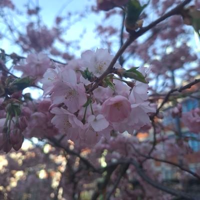 Nixさんのプロフィール画像