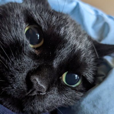 AdachiKazuhiroD's profile picture. Dawson Academy修了、Piper ERC、EXD Japan第9期卒、藤本研修会補綴咬合コース(Ⅰ)、石井歯内療法研修会、舟唄、英雄ポロネーズ